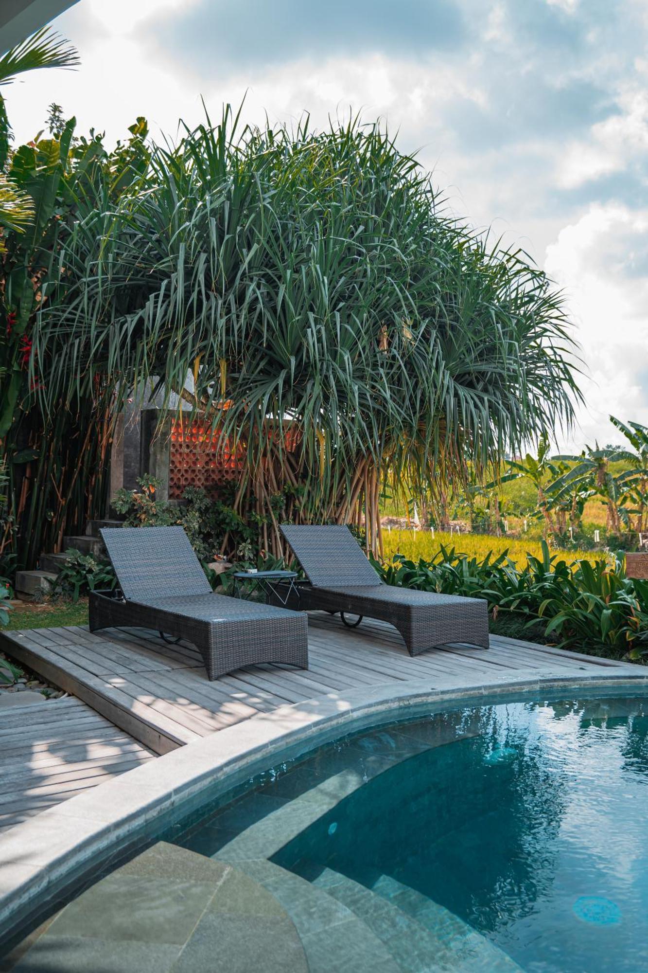 Mahalona Bali Stay 캉구 외부 사진